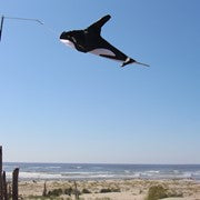 Fishsock Orca 30" Windsock