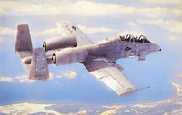 N/AW A-10 Thunderbolt II (1/48th Scale) Plastic Military Model Kit
