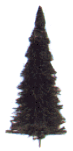 Pine Trees (Pack of 3) HO Scale Scenery