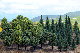 Mixed Forest Trees HO Scale Scenery