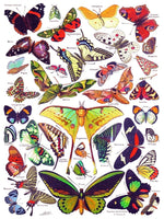 Butterflies ~ Papillons (1000 Piece) Puzzle