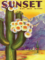 Cactus Blooms (500 Piece) Puzzle