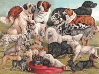 Dog Breeds (1000 Piece) Puzzle