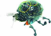 Ladybug Robot Kit