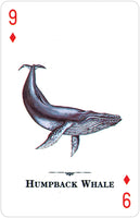 Endangered Species of the World Playing Cards