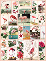 Flamingos and Flowers (1000 Piece) Puzzle