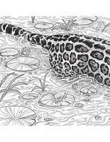 Fragile World Coloring Book