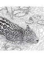 Fragile World Coloring Book