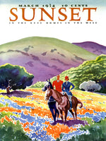 Sunset Horses in the Hills (500 Piece) Puzzle