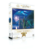 Harry Potter: Journey to Hogwarts (500 Piece) Puzzle