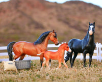 Spanish Mustang Family 1:12 Scale