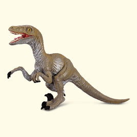 CollectA Velociraptor