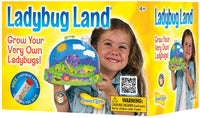 Live Ladybug Land Growing Kit