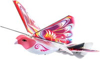 eBird - Pink Butterfly