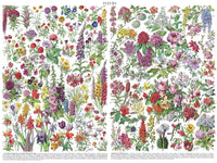 Flowers- Fleurs (1000 Piece) Puzzle
