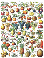 Fruits (1000 Piece) Puzzle