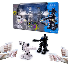 K.O. Bots: Fighting Robots