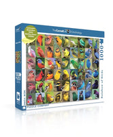 Rainbow of Birds (1000 Piece) Puzzle