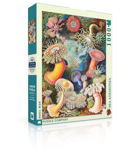 Sea Anemones (1000 Piece) Puzzle