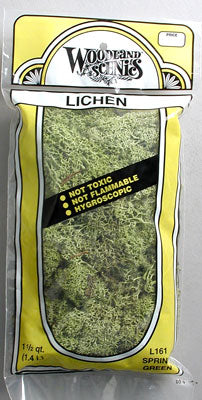 Spring Green Lichen Bag