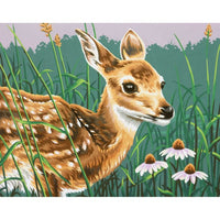 Fawn & Flowers Paint by Number (11"x14")