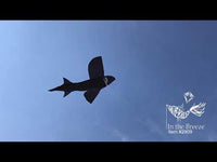 3D Shark Fly-Hi Kite (Assorted Sizes)