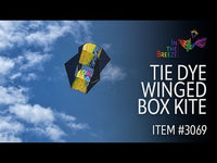 Tie Dye Winged Box Kite