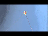 Diamond 30" Kite (Assorted Colors)