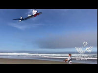 3D Great White Shark 7.5' Kite