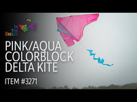 Pink/Aqua ColorBlock Delta 46" Kite