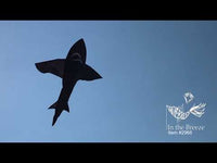 3D Shark Fly-Hi Kite (Assorted Sizes)