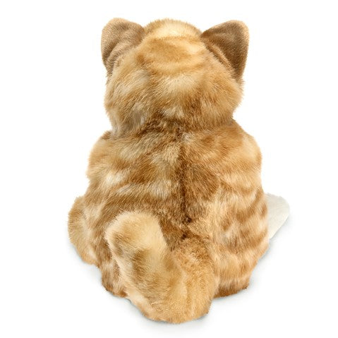 Orange Tabby Kitten Hand Puppet| Eugene Toy & Hobby