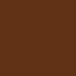 Railroad Color Acrylic Paints 1oz 29.6mL Southern Pacific Depot Trim Brown Acrylic Paint