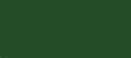 Scalecoat II Railroad Paint - 2oz 59.1mL -- Reading Green