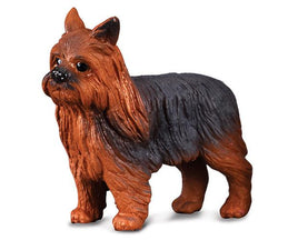 CollectA Yorkshire Terrior